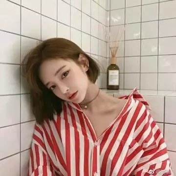 勾魂黑蔷薇